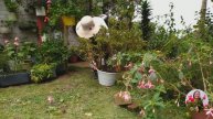 Trabajando nuevamente en el jardín, ORGANIZANDO, LIMPIANDO, ABONANDO. Mucho por hacer | Jardín Diaz