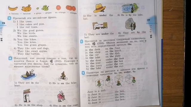 Часть 2Урок 54Step 54_Английский язык 2 класс Rainbow English 2 О.В.Афанасьева