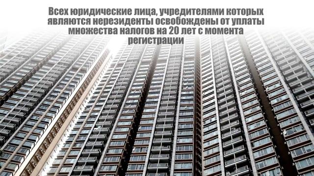 Зарегистрировать компанию в Доминике онлайн из Нижнего Новгорода