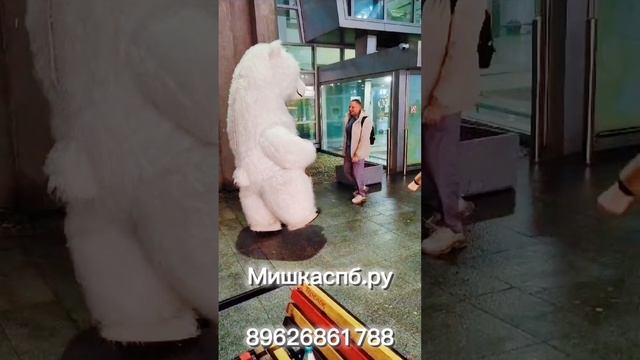 Вот так встреча ?️