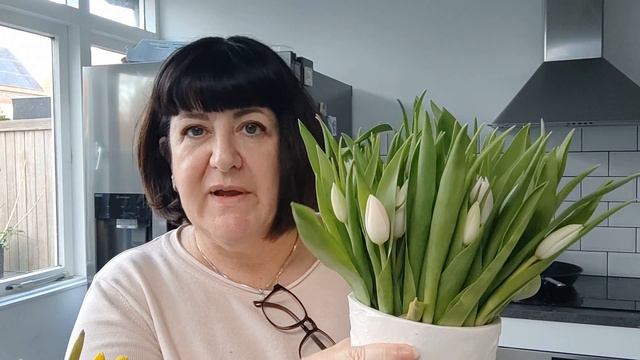 Weekly Vlog # 296: A week cut short