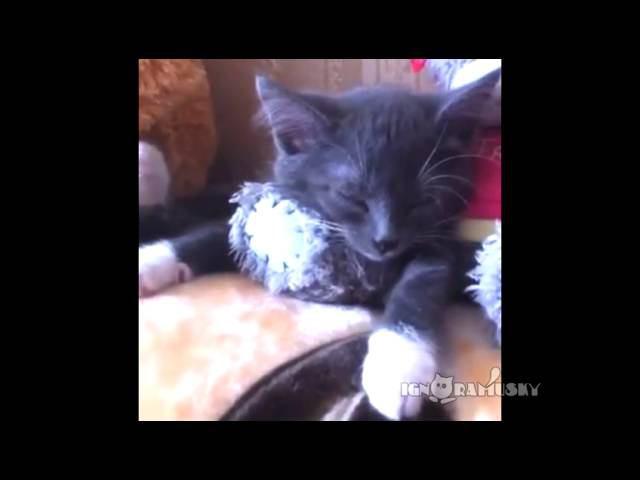When you can continue to sleep  Когда можно еще поспать