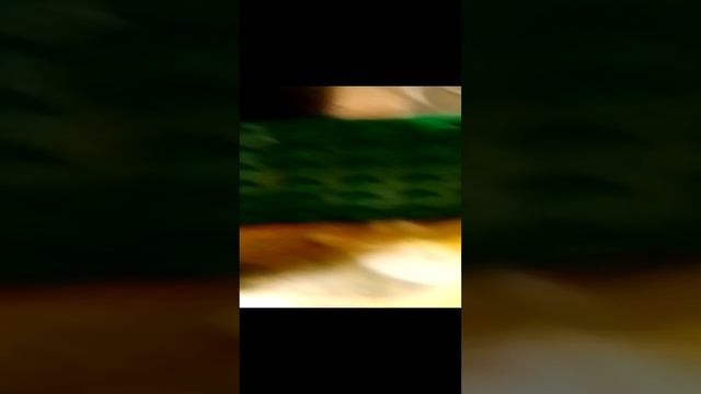 5 сезон стэндофф