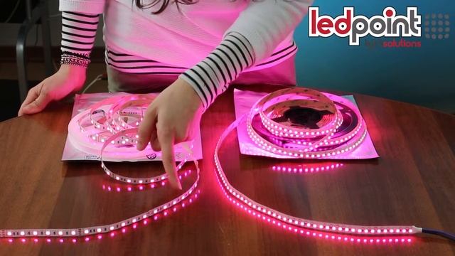 Nueva tira led RGB 120 led/m - LedPoint (ES)