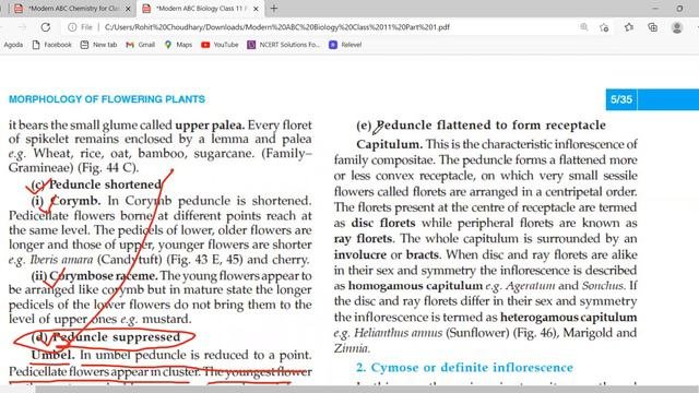 MORPHOLOGY OF FLOWERING  PLANTS PART 1 CLASS 11
