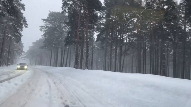 Снежный ураган в Таллине. Столько снега мы давно не видели