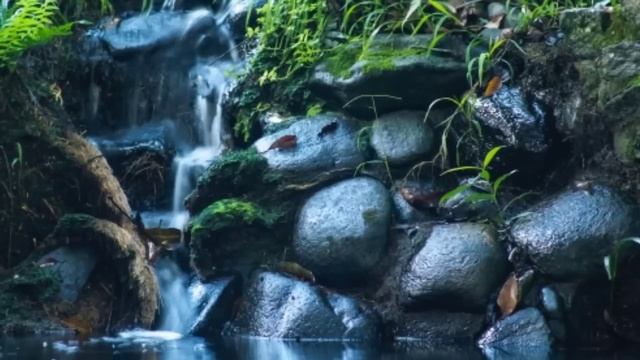 ዘማሪ ወርቅነህ አላሮ ቁ.1 ሙሉ አልበም II Workneh Alaro protestant song