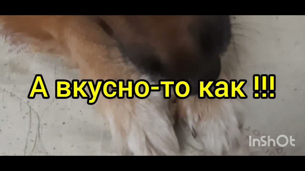 Деля с "конфеткой"