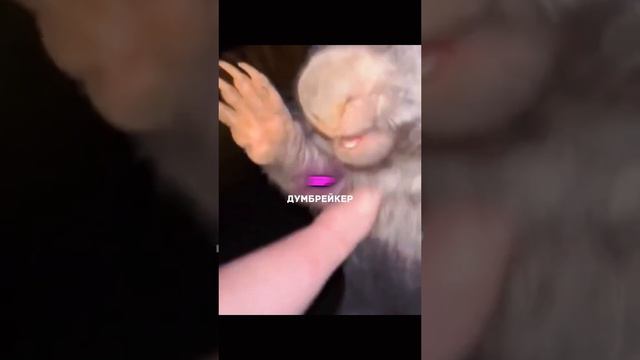 1000005392.mp4