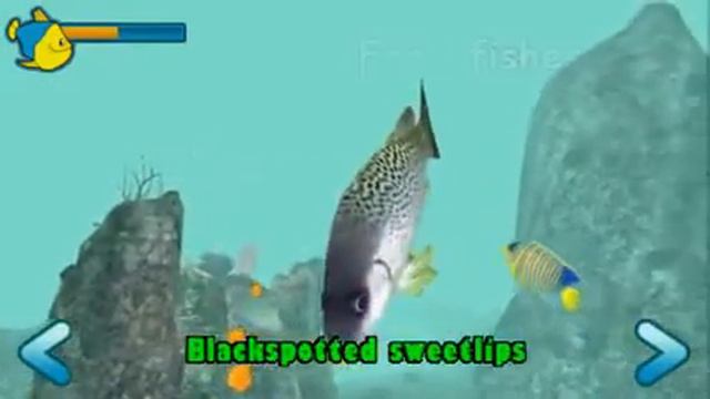 Reef Aquarium (PSP Mini) Trailer