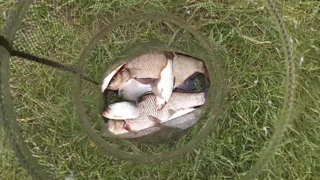 На рыбалку с утреца!
