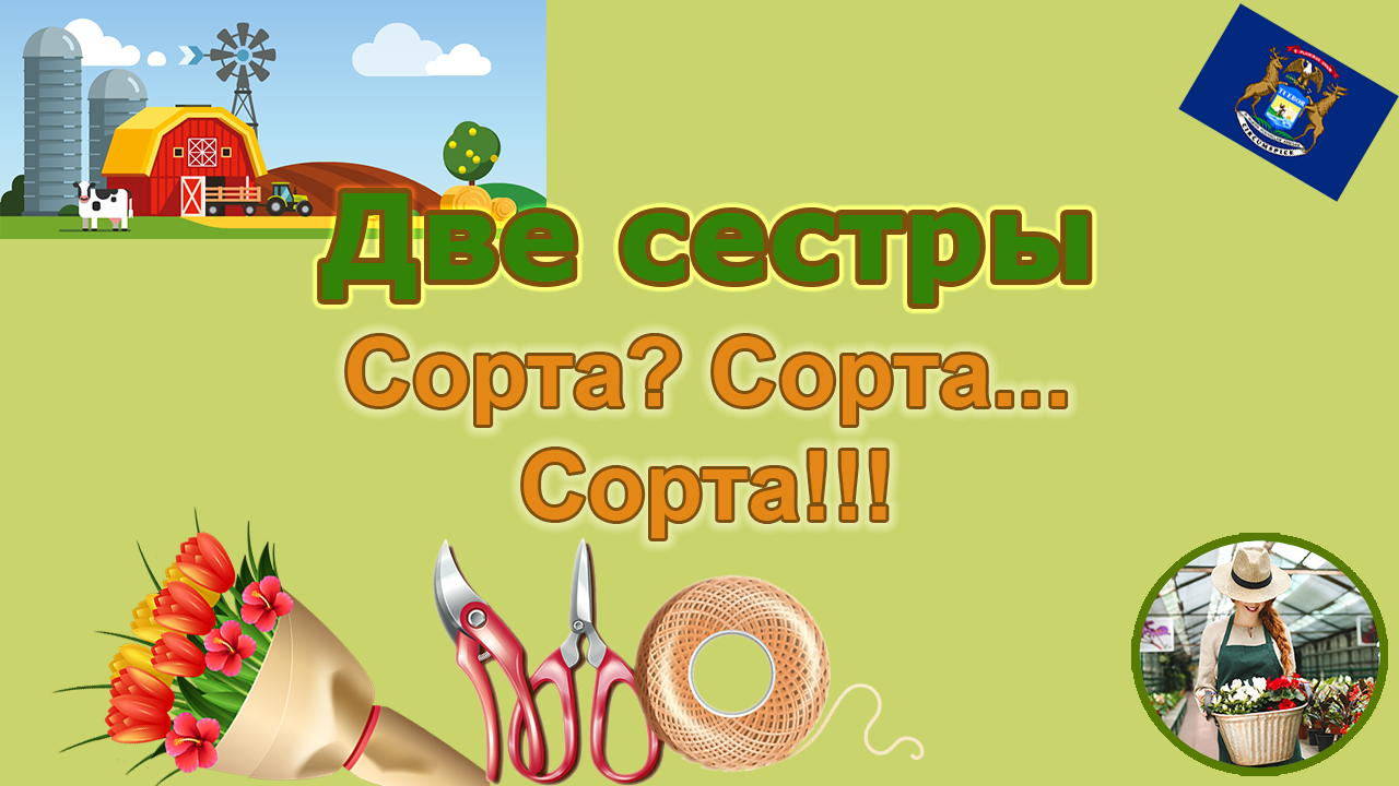 Ферма "Две Сестры". Сорта? Сорта...Сорта! 5-я серия.