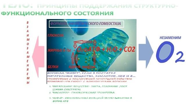 Кислород или гипоксия, чему, когда место_.mp4