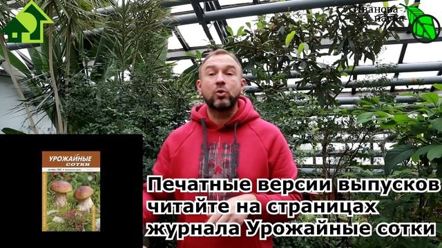 ОЧЕНЬ ПОЛЕЗНО... КУШАТЬ НА НОЧЬ! Вы не знали? А вот да! Особенно огородникам-любителям. Да и всем!