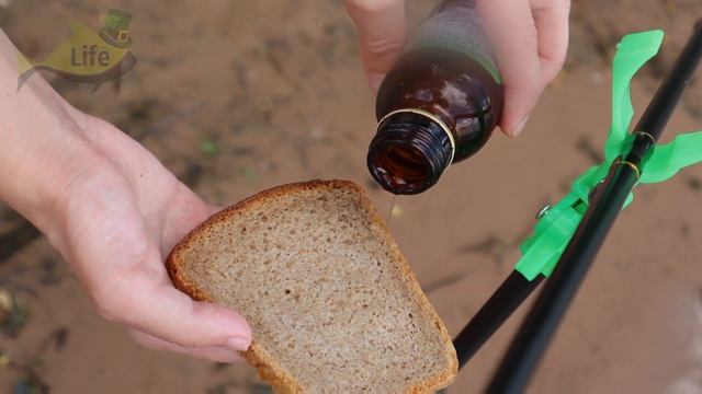 34 рубля и вся рыба ваша! Накапайте на хлеб это аптечное средство Валерьянка для рыбалки