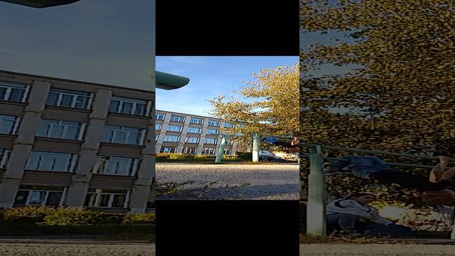 VID_20240902_173604.mp4