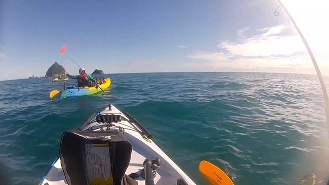 Viking profish 35 in action.
