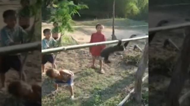 Gibbons World ...Best Acrobatics  Swing from Gibbons linka studio channel