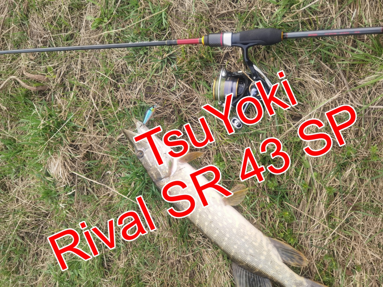 TsuYoki Rival SR 43 SP и щучка