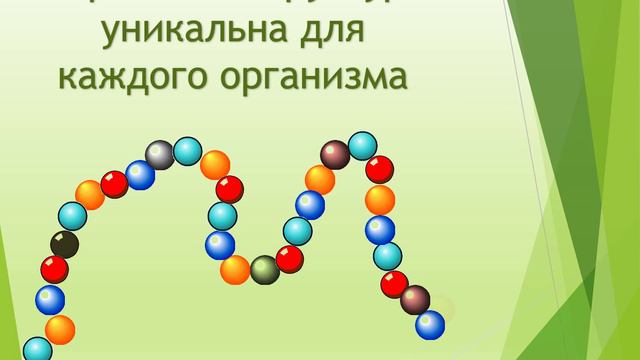Belki ЕГЭ