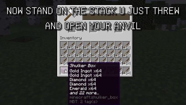EASY Duplication Glitch For Minecraft 1.17 | Any Item
