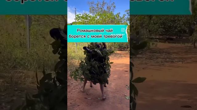 Психолог Ольга Реберт