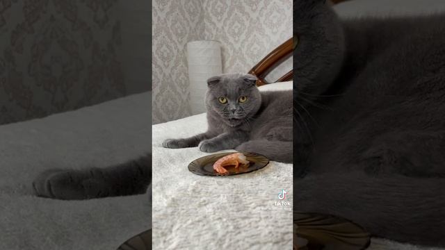 Бя