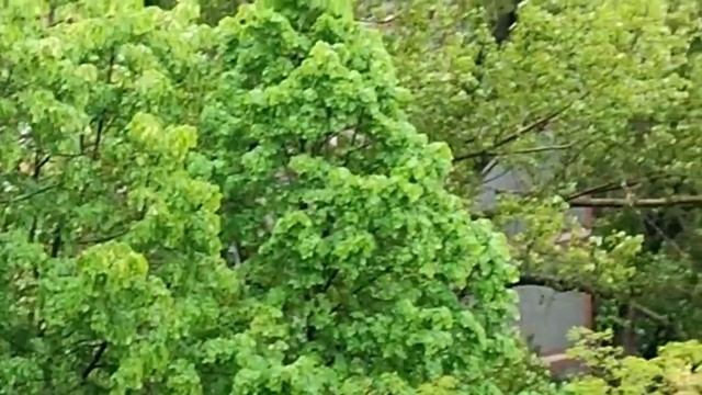 Динозавр! Как нарисовать динозавра? Внучка Даша рисует динозавра. Этапы работы. Рисование дет