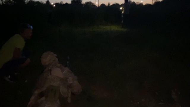 По баночкам