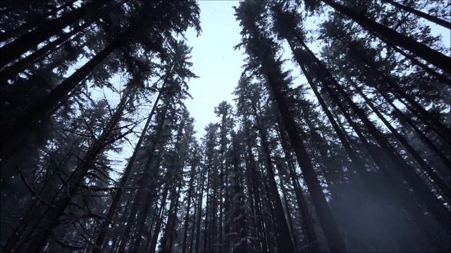 Dark Snow