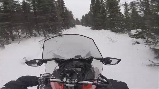 Ski-Doo Expedition SE 900 ACE Turbo