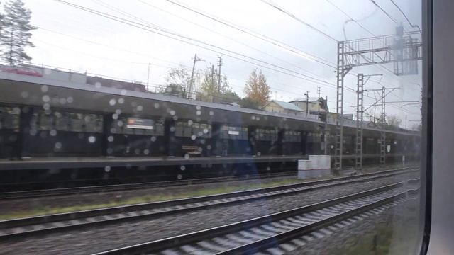 Дождливый день в золотую осень - едем на "Ласточке" из Химок в Ховрино