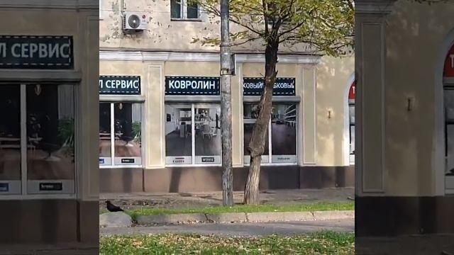 Фасад салона напольных покрытий ПОЛ СЕРВИС в г. Днепр