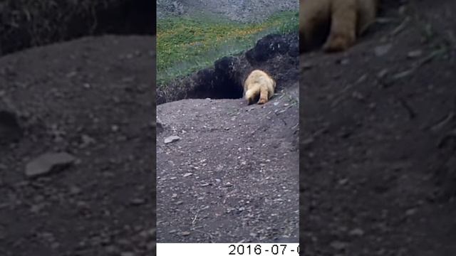 Это я отправляюсь в длительную командировку...