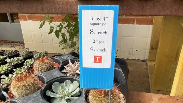 163: Plant Shopping | Redenta's Garden Shop, Dallas Texas | See My Cool Mini Plant Haul!