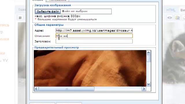 Фото-слайдер Yvision