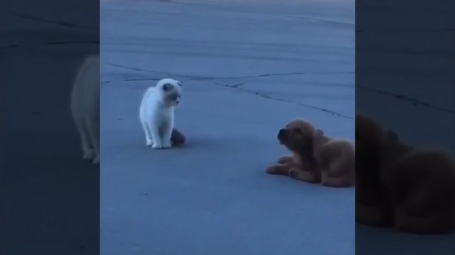 Это не Я