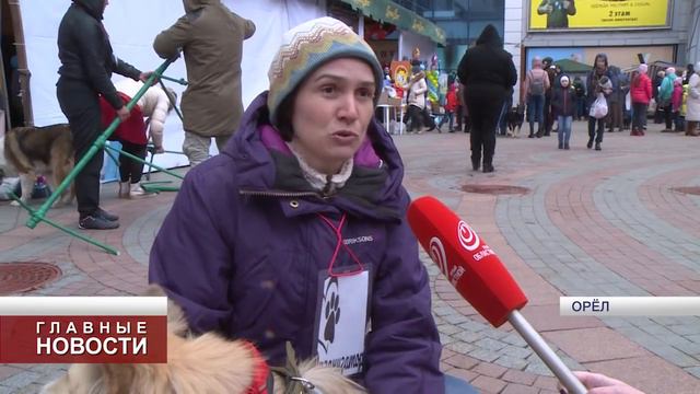 В Орле прошла выставка бездомных собак и кошек