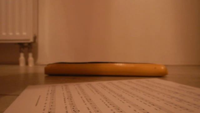 Wellerman (soprano recorder version) - recorded with Nikon CoolPix W300 camera
