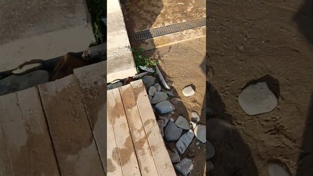 На море без денег.Эпизод 32.Ох уж эти неслучайные случайности!