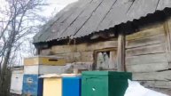 Внешнее утепление пчел в зиму