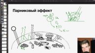 Парниковый эффект | Биология ЕГЭ
