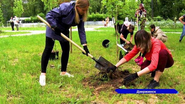 Любители природы посадили 30 цветущих деревьев в Дзержинске