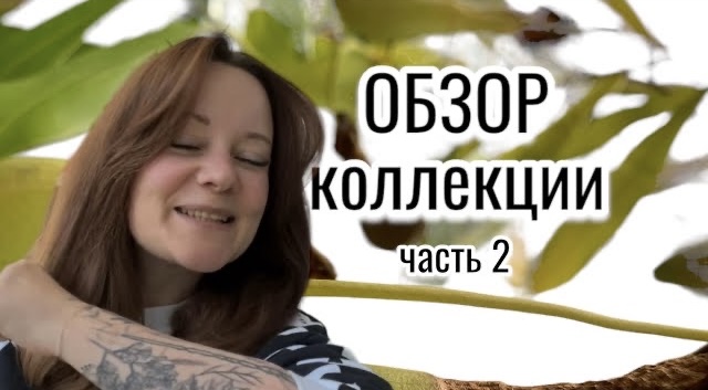 Обзор моей коллекции растений. Часть 2: plant-room, тепличка, алоказии, антуриумы, и ……;)