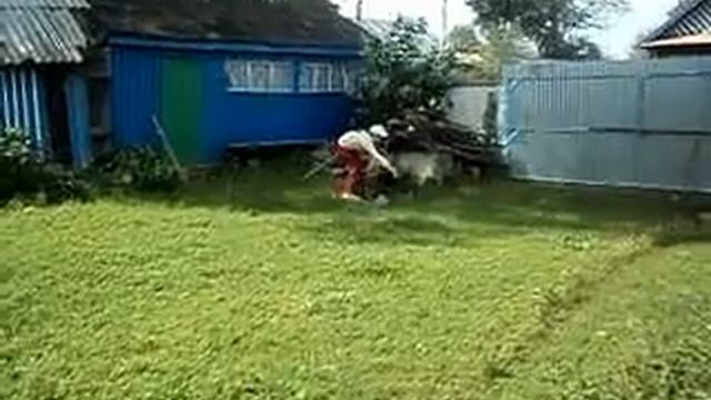Босс - август