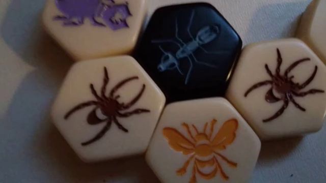 Hive pocket animación (Stop motion)