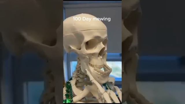 1 day mewing vs 100 day mewing