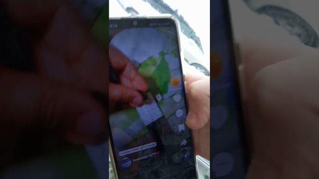 орёт под окном, и мы хотим его заблокировать в лайке, помогите пожалуйста