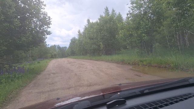 сельская дорога
