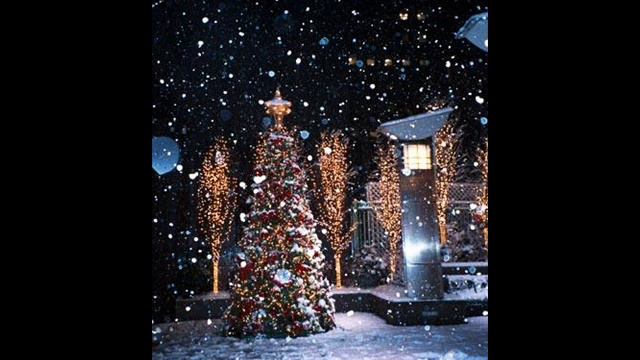 Toby Keith - Blame It On The Mistletoe